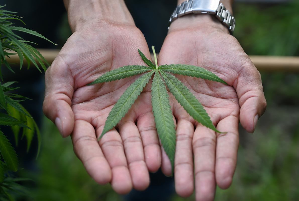 How to Build the Ultimate Cannabis Care Package