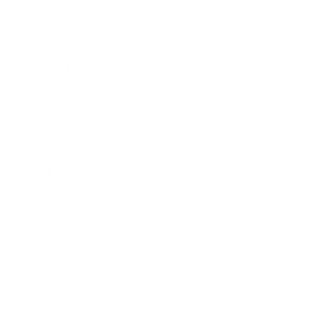 Cart Icon